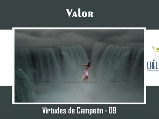 Protegido: Vc09 Valor