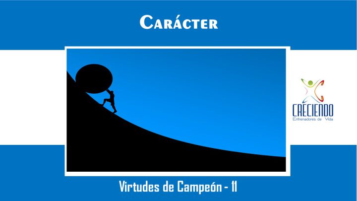 Protegido: Vc11 Carácter